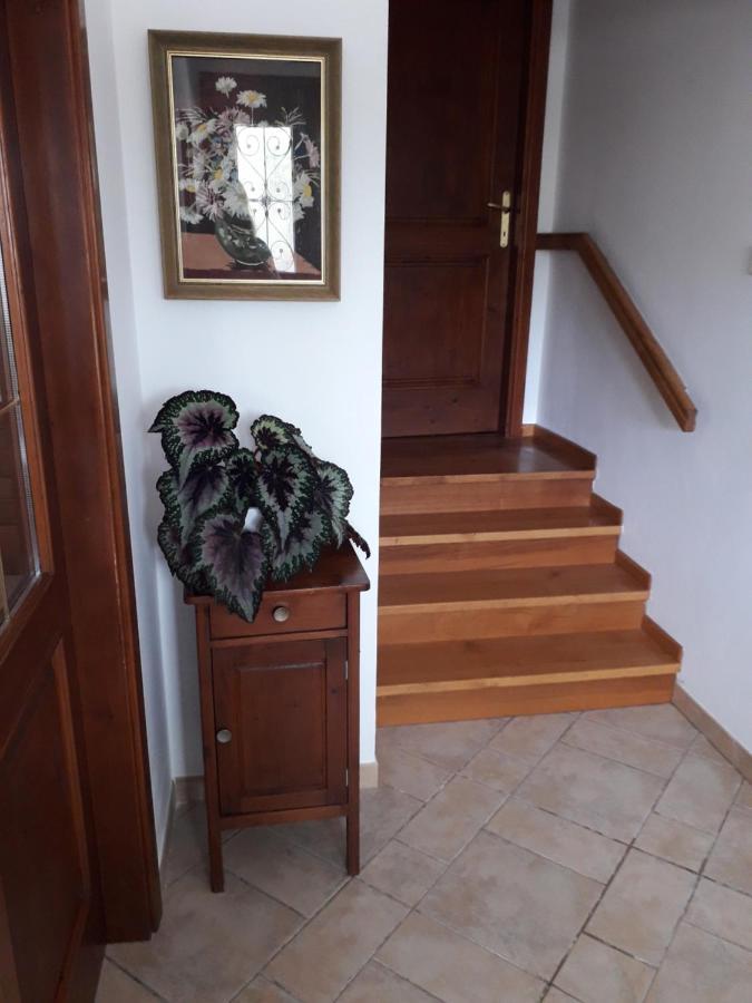 Apartmán Vidin Raj Vremski Britof Exteriér fotografie
